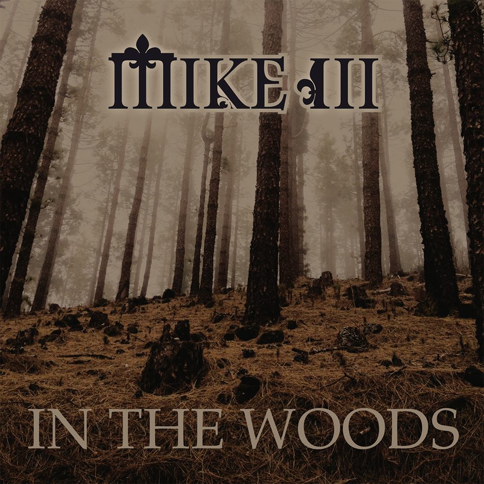 In The Woods cover